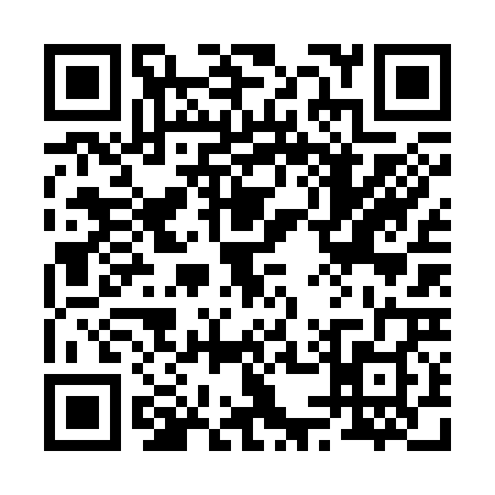 QR code for 2563287
