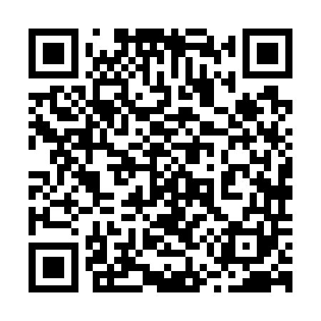 QR code for 258741