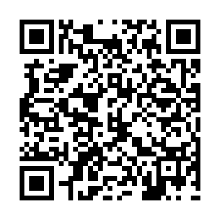 QR code for 265333