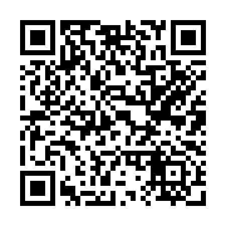 QR code for 272393