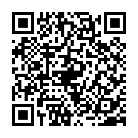 QR code for 2870384