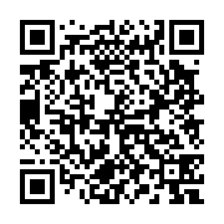 QR code for 290038