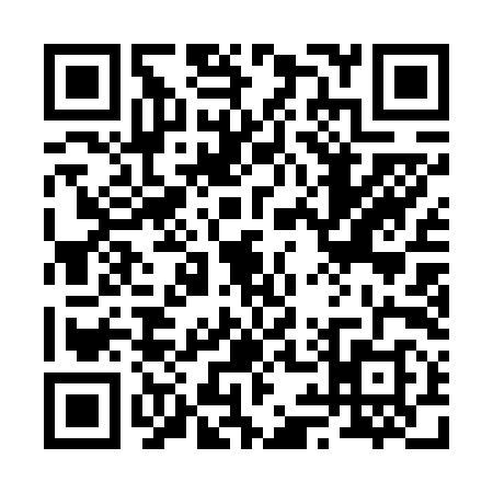 QR code for 2916987