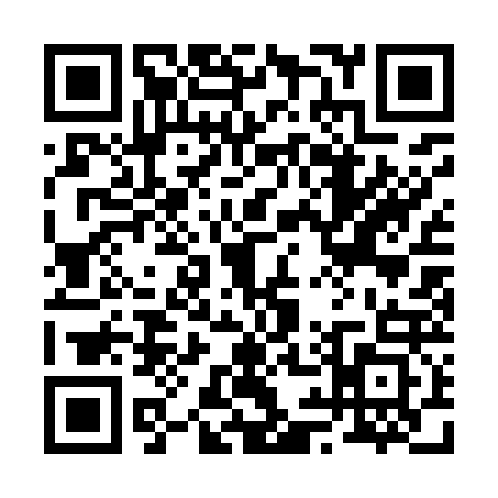 QR code for 2919234
