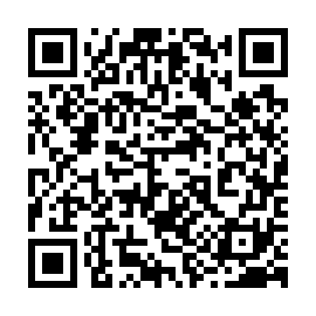 QR code for 293771