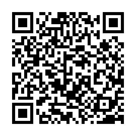 QR code for 294119