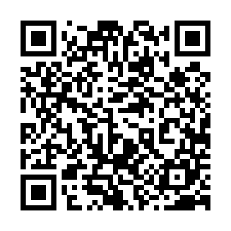 QR code for 294545