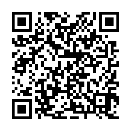QR code for 294710