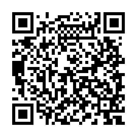 QR code for 294793