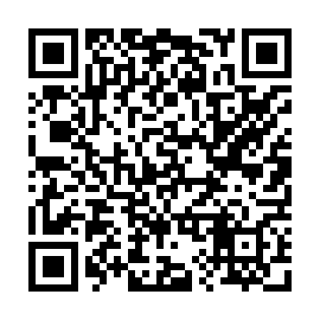 QR code for 294868