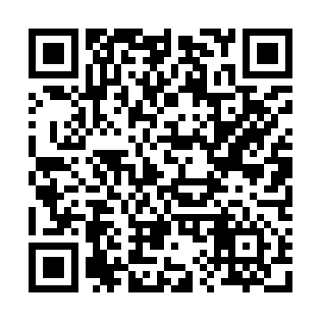 QR code for 294956