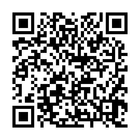 QR code for 294966
