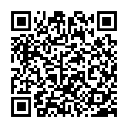 QR code for 295328