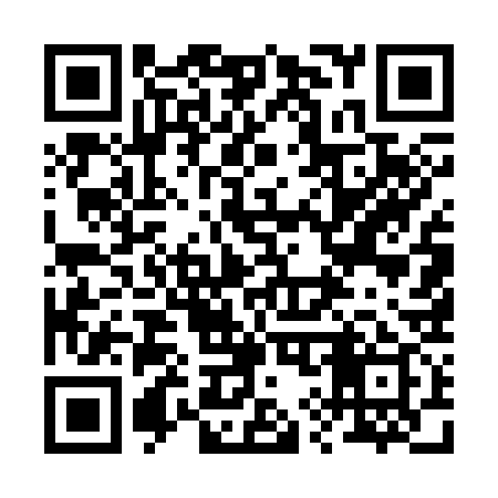 QR code for 295339