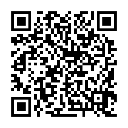 QR code for 299384