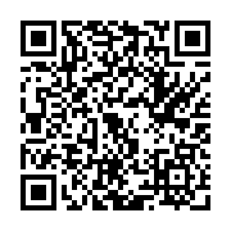 QR code for 2994070
