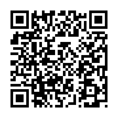 QR code for 2994929