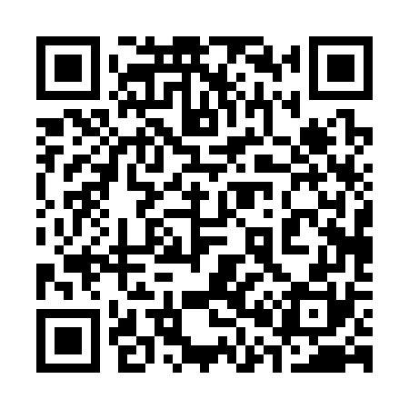 QR code for 300370