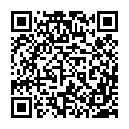 QR code for 300456