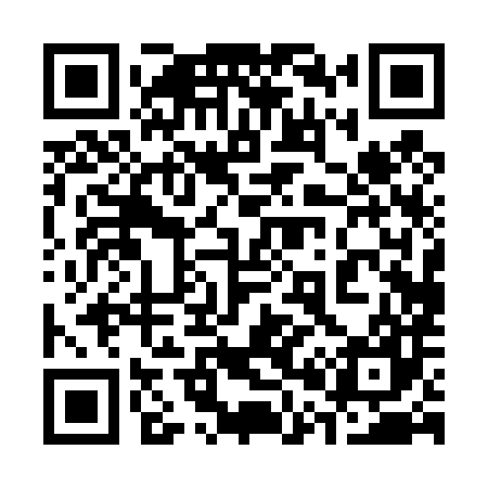 QR code for 300487