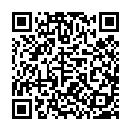 QR code for 300499