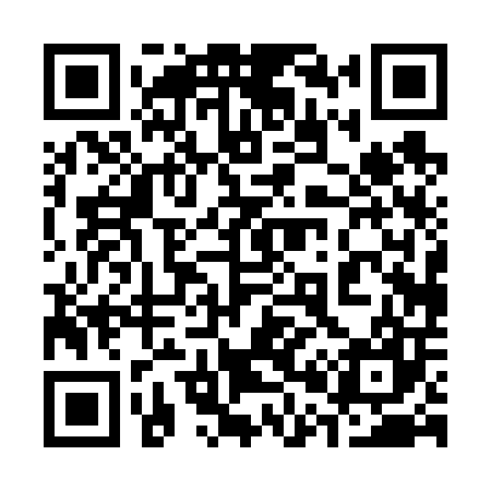 QR code for 300607