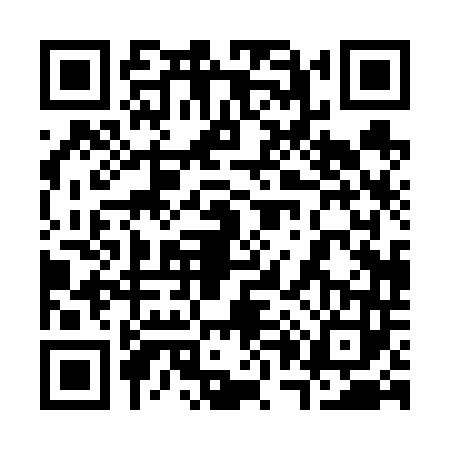 QR code for 3006434