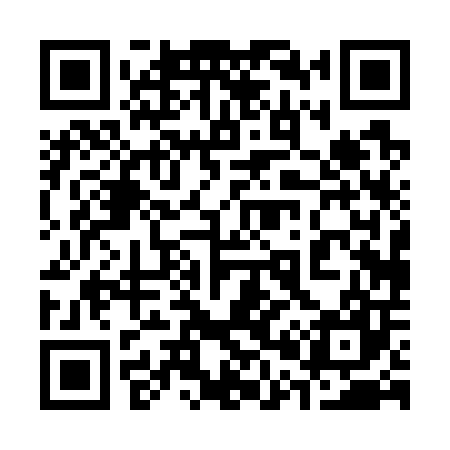 QR code for 300707