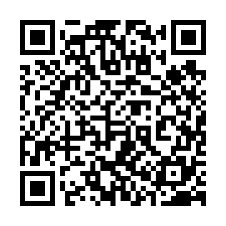 QR code for 301675