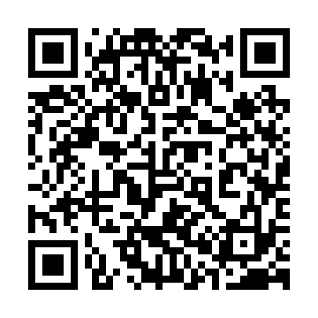 QR code for 303233