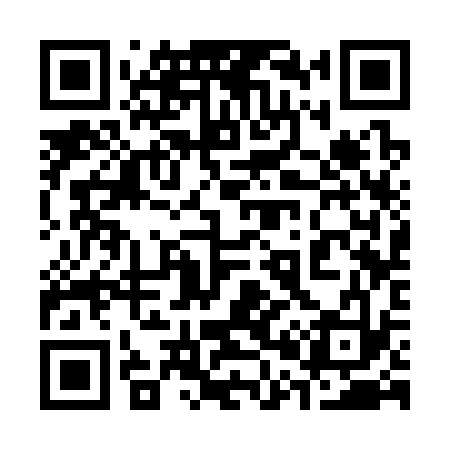 QR code for 303333