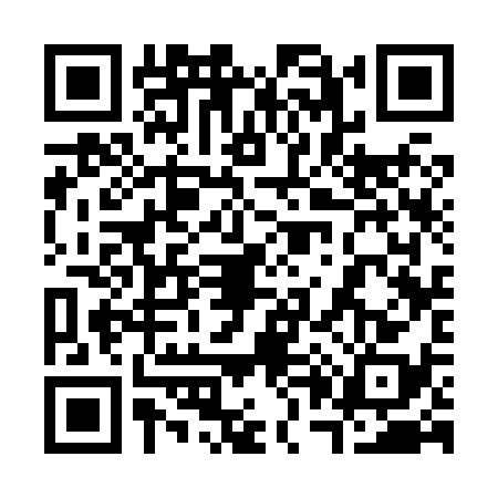 QR code for 3038389