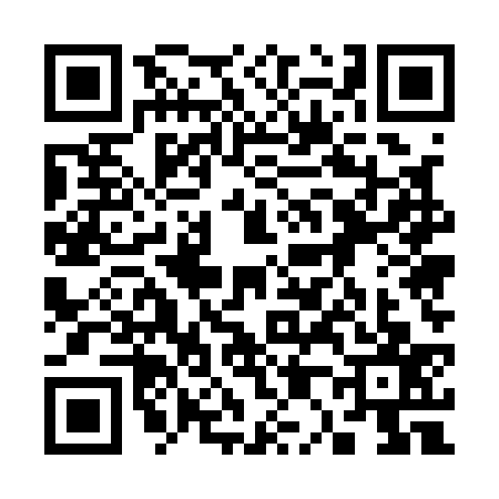 QR code for 3051378