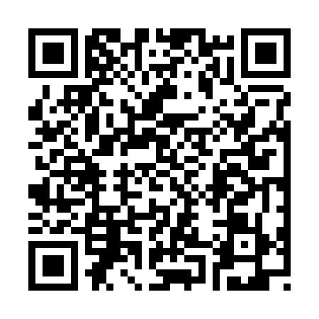 QR code for 3062795