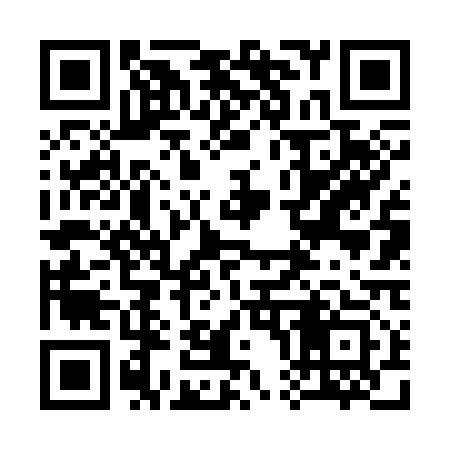 QR code for 306313
