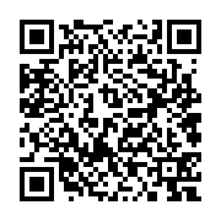 QR code for 3063315