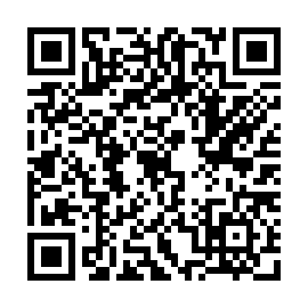 QR code for 3063867