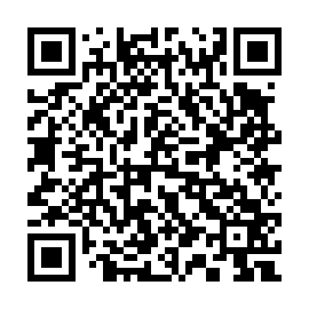 QR code for 311463