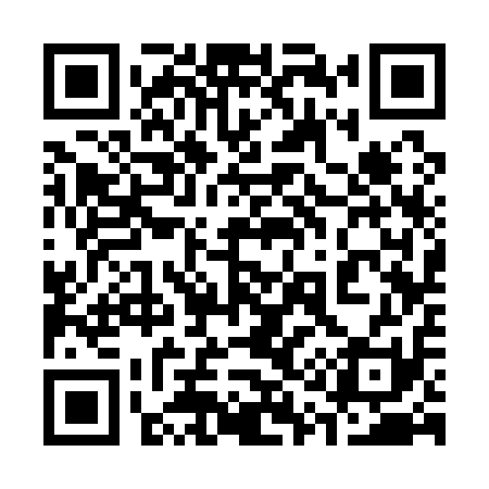 QR code for 313111