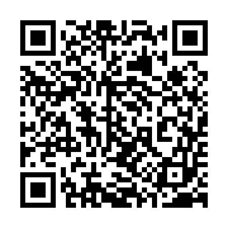 QR code for 313153