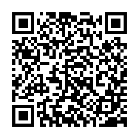 QR code for 313202
