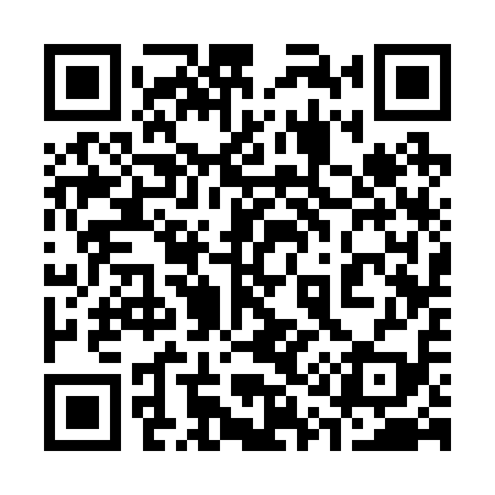 QR code for 313219