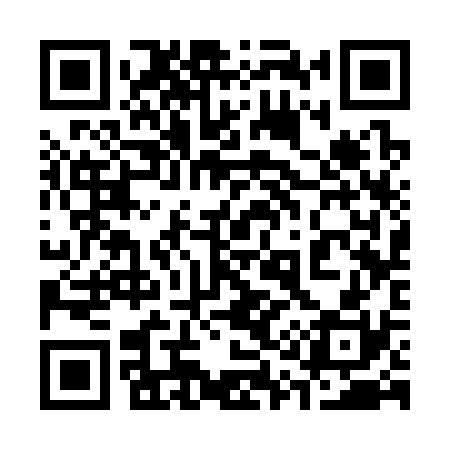 QR code for 313330