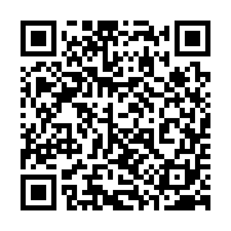QR code for 313351