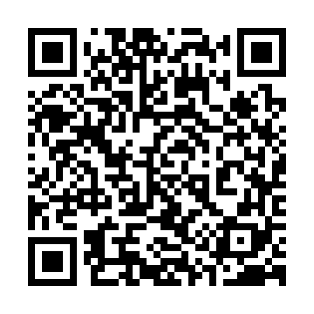 QR code for 313368