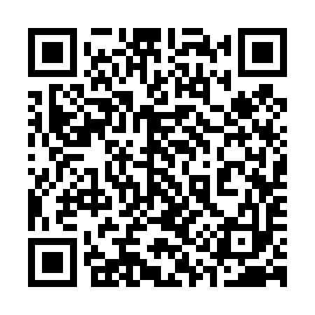 QR code for 313493