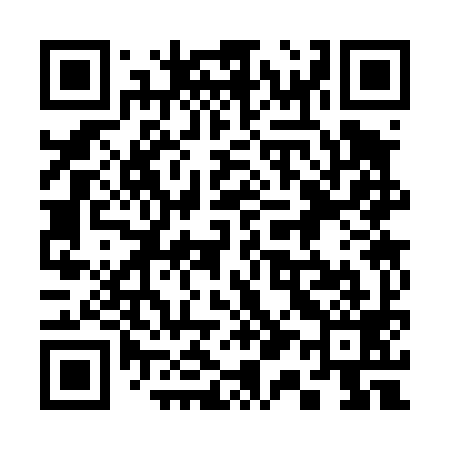 QR code for 313499