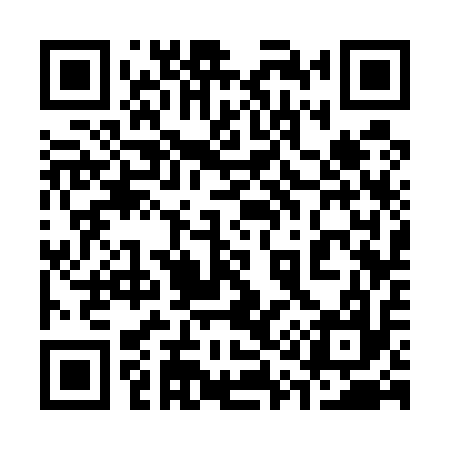 QR code for 313517