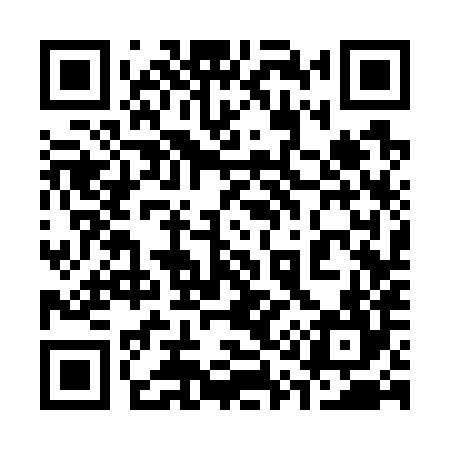 QR code for 313784