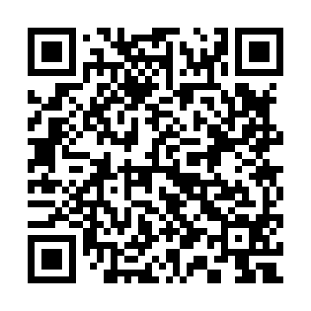QR code for 313894